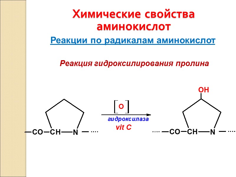 Химические свойства аминокислот Реакции по радикалам аминокислот Реакция гидроксилирования пролина
